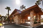 BEST WESTERN Pine Tree Motel