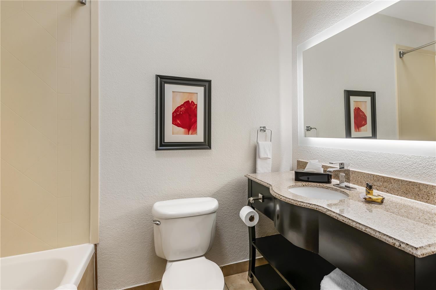 best western jfk new york