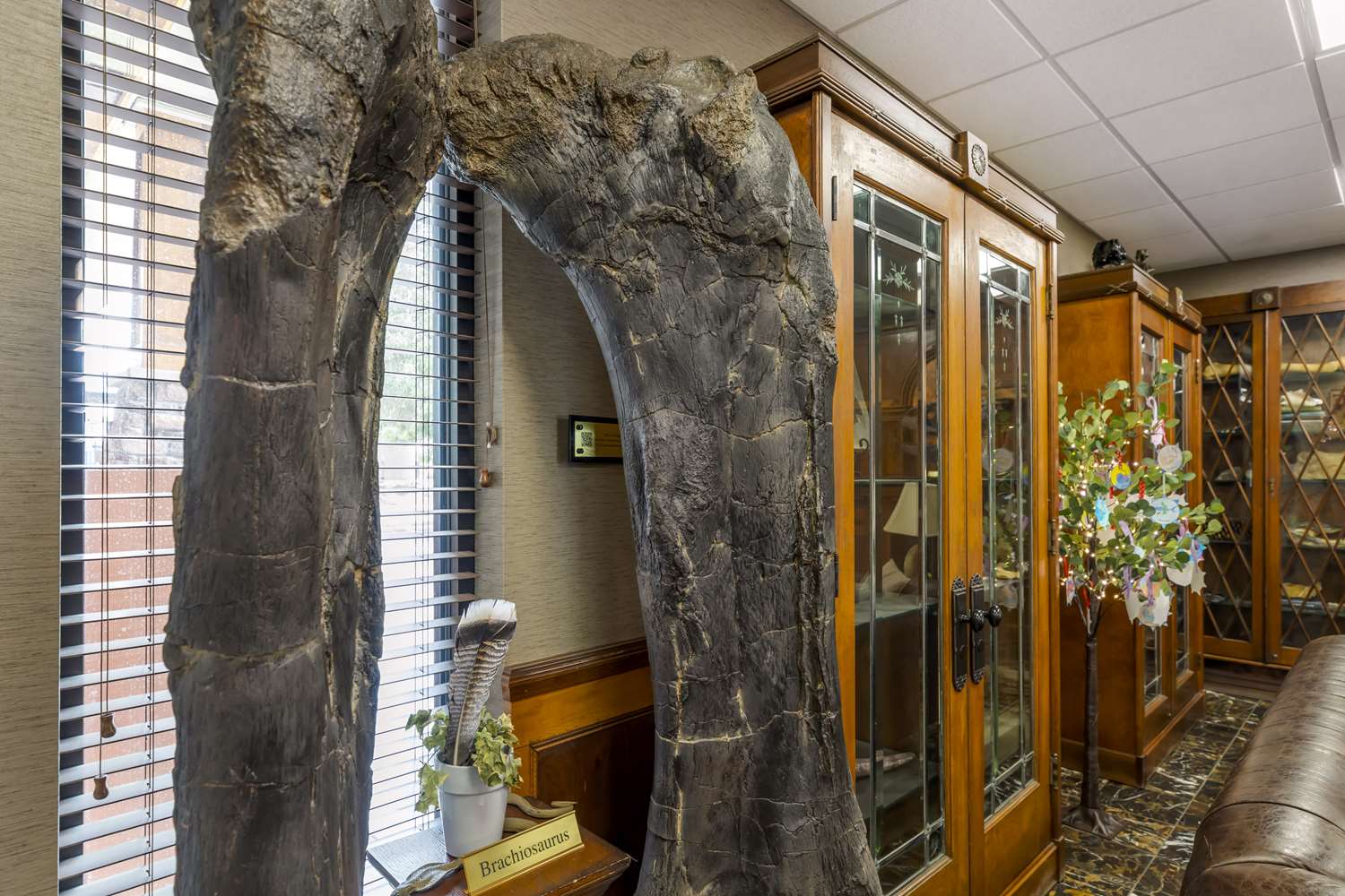 Hotel in Lakewood Best Western Denver Southwest