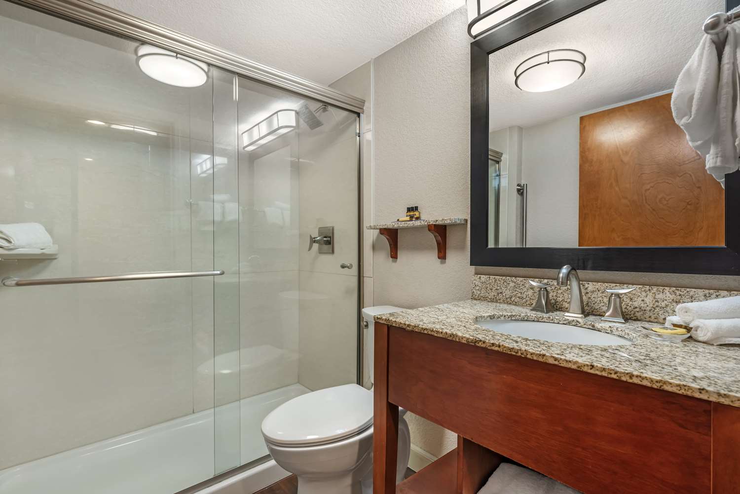 Hotel in Colorado Springs Best Western Plus Peak Vista Inn Suites