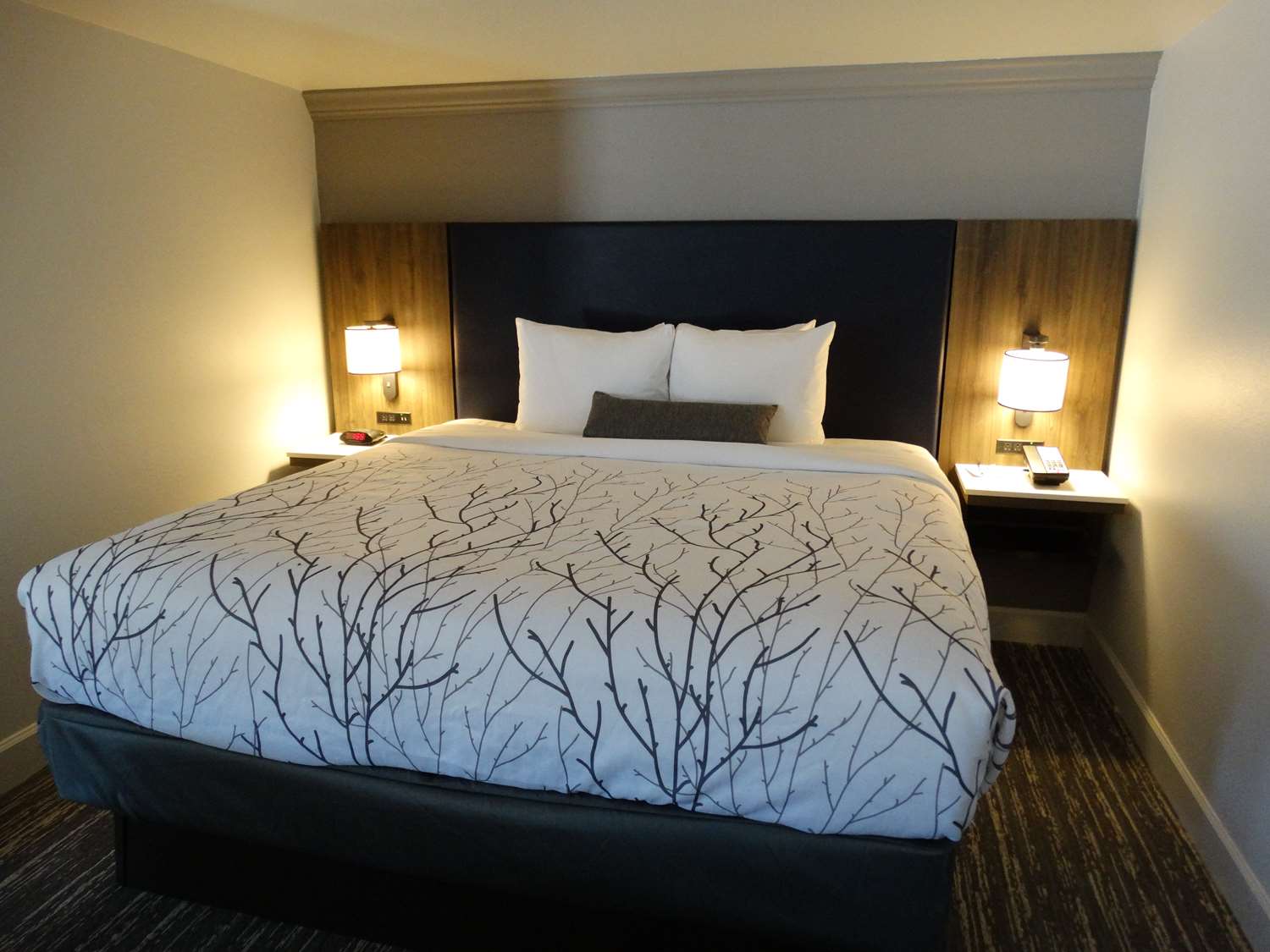 Best Western Premier Denver East – HONEST Hotel Review – But First ...