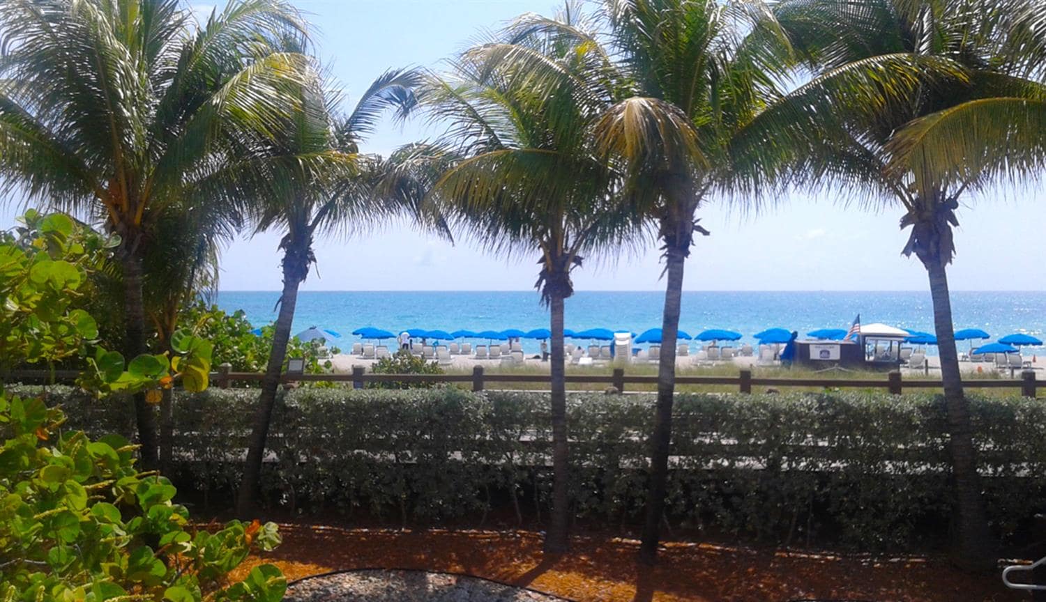 Latin Roof-top Pool Party - Hampton South Beach - Miami Beach - Florida  Dance Vacations