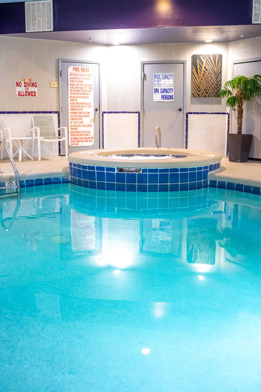 Shop Generic Swimming Pool Reel Cover Adjustable Blanket Online