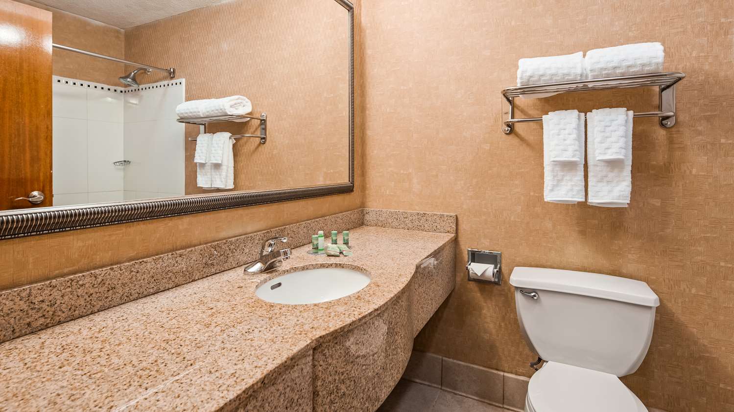 Hotels In Duluth Ga Best Western Gwinnett Center Hotel