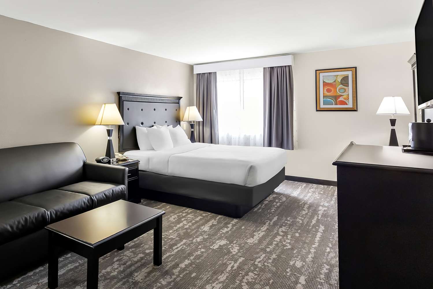Hotel in Carbondale | Best Western Saluki Inn