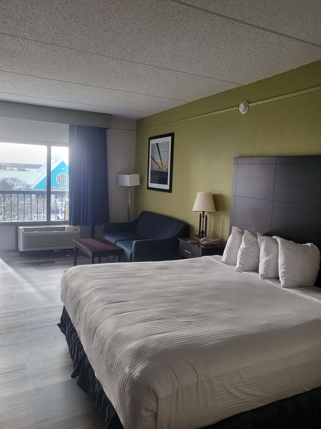 Habitaciones del George Bass Motor Inn: Fotos y opiniones - Tripadvisor