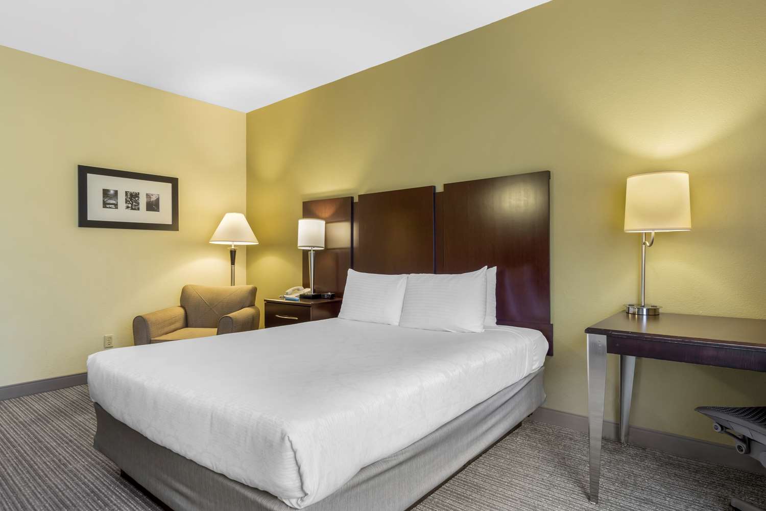 Best Western Plus Plaza by the Green | Hotel Rooms