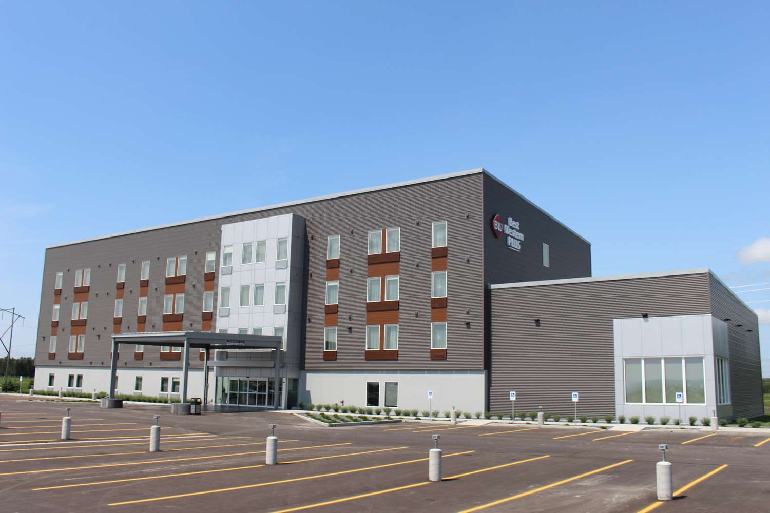 Do Best Western Hotels Allow Dogs